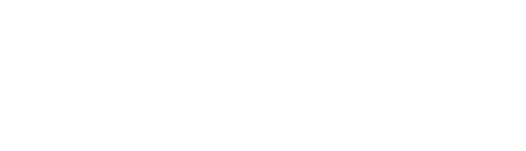 Bleuwire